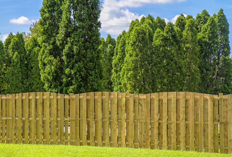 Privacy Fence Repair